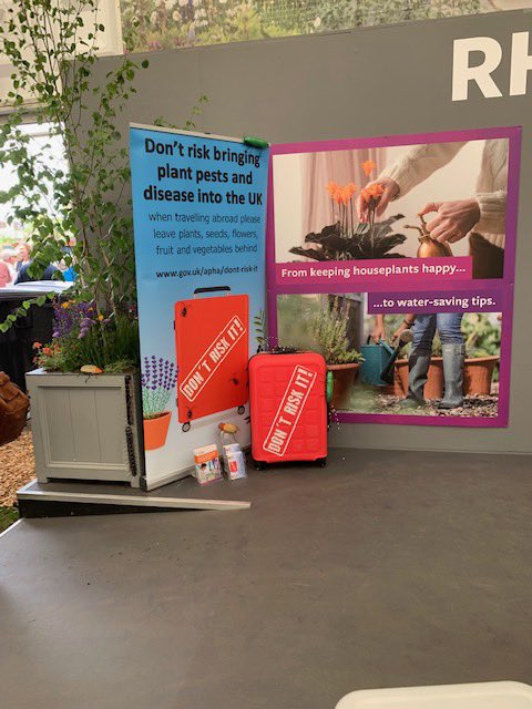 Our #dontriskit plant health campaign featured at #RHSChelseaFlowerShow <a href="/APHAgovuk/">APHA</a> <a href="/DefraGovUK/">Defra UK</a> <a href="/The_RHS/">The RHS</a> <a href="/SJRAfloat/">Sara R 💙</a>