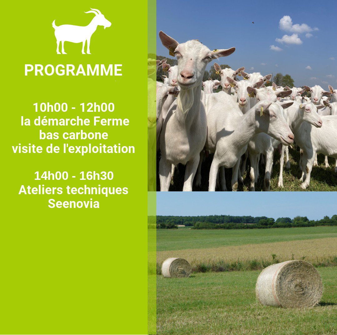 seenovia's tweet photo. [EVENEMENT] Temps fort caprin ! 🐐

Jeudi 1er juin, à la suite de la matinée Bas Carbone organisée par la Région, Seenovia vous propose des ateliers techniques l'après-midi pour poursuivre le Temps fort caprin.

Inscrivez-vous ici avant le 29 mai 👉 https://t.co/AcutHv5il8 https://t.co/2Sv6IfXlKe