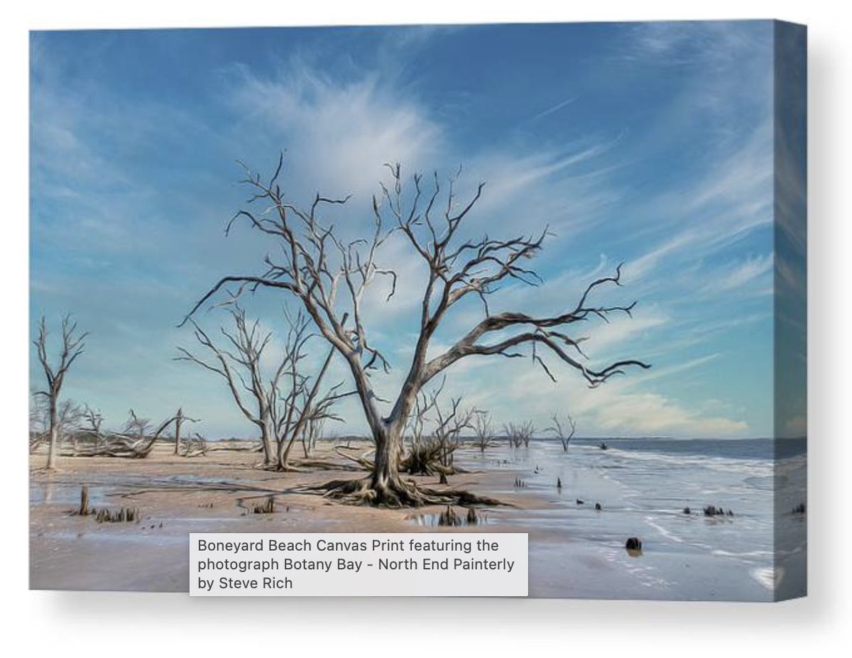 Botany Bay - North End Painterly
3-steve-rich.pixels.com/featured/botan…

#Botany #longexposure #Canon #Botanybay #BuyIntoArt #ShopEarly #GiftThemArt #GiftArt #GiftIdeas #Edisto #EdistoSouthcarolina #SouthCarolina #Alone #standtall #beachlife  #LeeFilter #AYearForArt