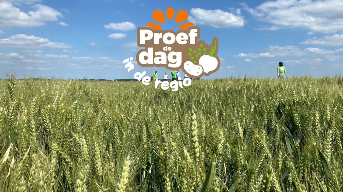 VanIperenBV's tweet image. Tijdens Proef de dag krijgt u de gelegenheid om bij uw collega-ondernemer op het bedrijf te kijken. Er zijn op alle locaties mooie #proeven aangelegd die we bespreken. Heeft u zich al opgegeven? #proefdedag #kennisdelen #groeispecialist
landentuinbouwcursussen.nl/product/proef-…