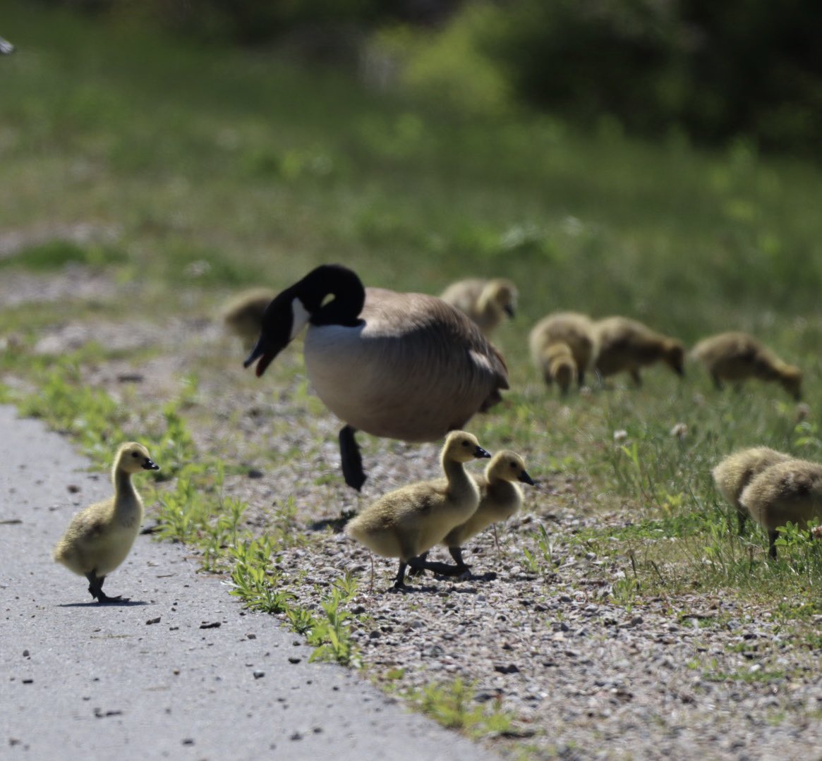 Catharine tweet media