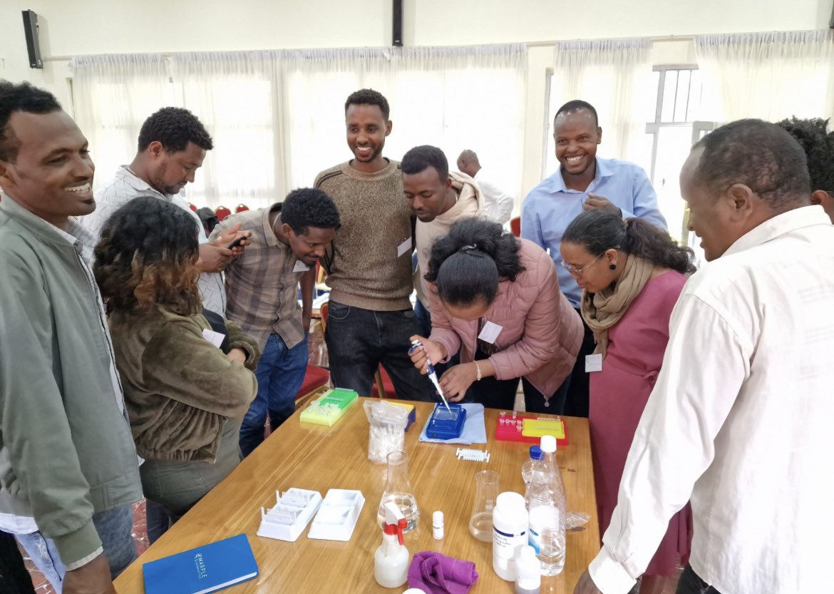 Fantastic to be back in Ethiopia running our latest MARPLE training workshop 🙌🏻 A highly successful two days, thank you to Ambo Research Station @InstituteEiar for hosting us!! @Saunders_Lab @CIMMYT