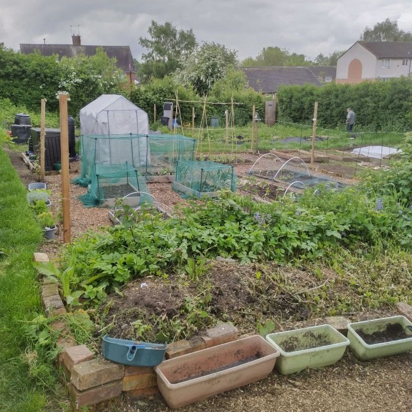 From that to this! It's lovely to see the Starter Plots flourish and grow. The Starter Plots were part of our #NewRoots project and they were a great way to use an underused space to create some smaller, more manageable spaces for gardening. #allotmentgardening #greenspace