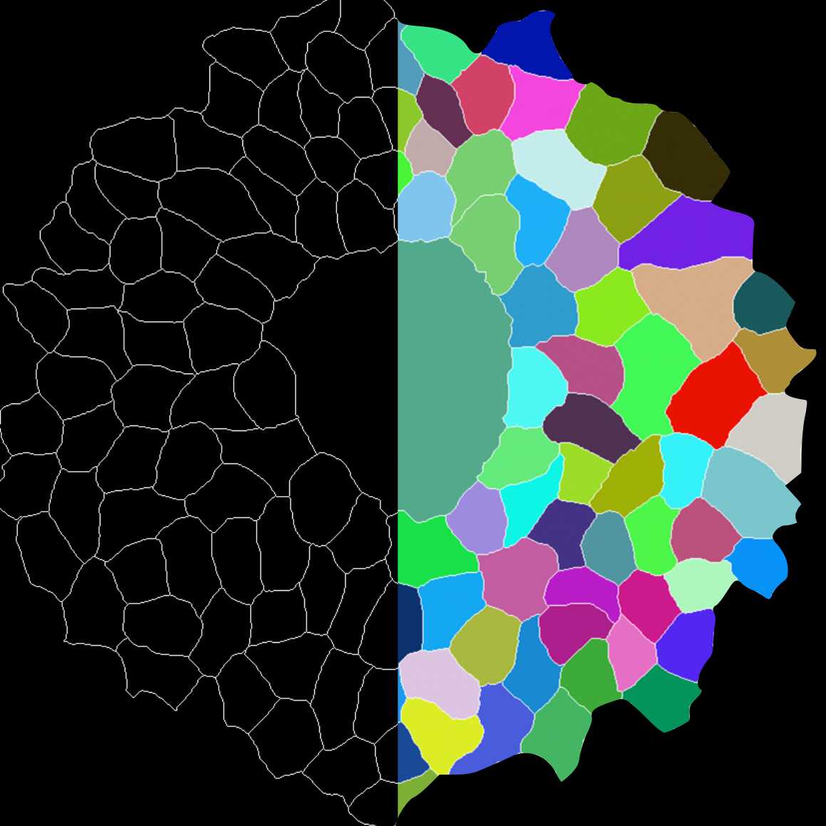 Calling all final year university students in the STEM sciences. Are you interested in interdisciplinary science? Help shape a new MRes Interdisciplinary Programme in Cell Biology by taking this short survey: forms.gle/Ah4ijgPTQ6kaLa…
Thanks and please RT!