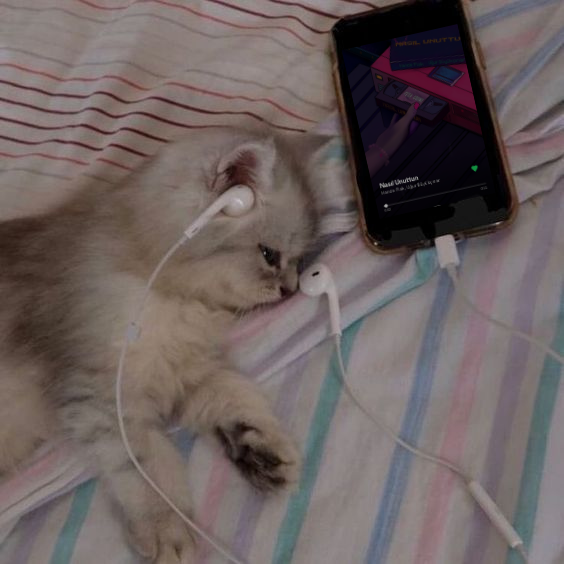 Durduk yere hikayeni beğenen eski sevgiline ve bir daha hiç göremediğin o yaz aşkına söylemek istediğin her şey tek bir müzik listesinde. 
-Hadi ne duruyorsun şimdi tıkla ve dinle ⤵️
open.spotify.com/playlist/21yQA…
#fezasound #carsamba