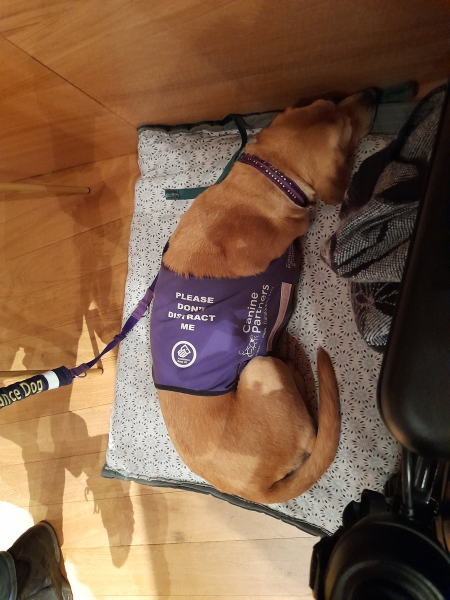 My beautiful girl (&amp; husband) have made it possible for me to participate in #ICIC23. Their support allows me to champion #integration every day. Thanks for an inspiring week <a href="/IFICInfo/">IFIC Updates</a> and we'll see you next year in Belfast!