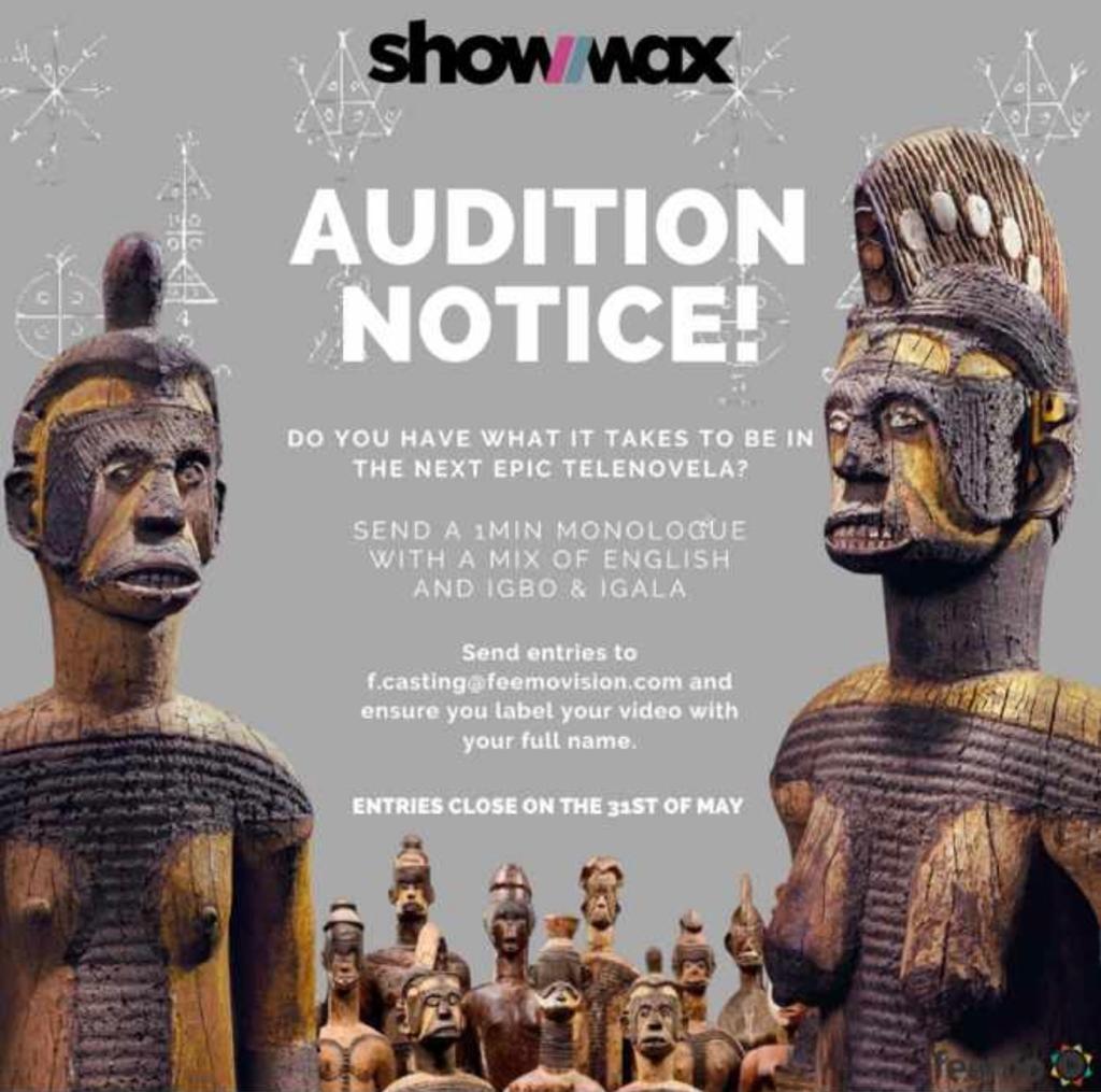 Another epic telenovela in the oven. Send a minute monologue with a mix of Igbo and Igala to f.casting@feemovision.com