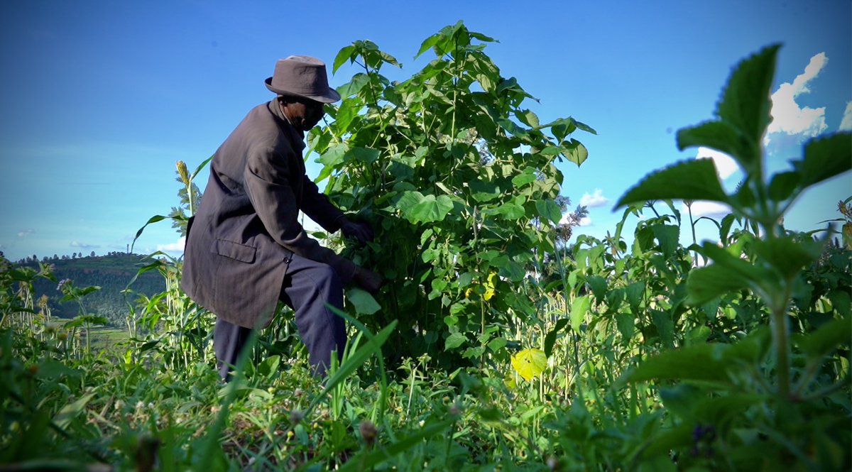 Marc Ellison tweet media