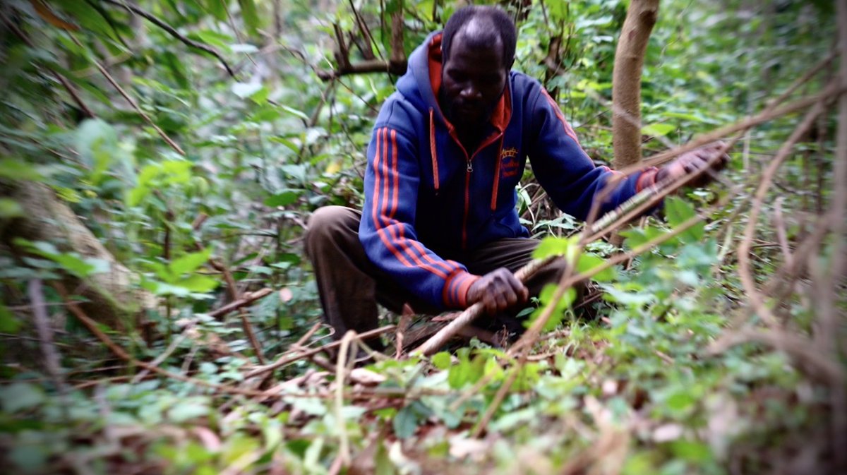 Marc Ellison tweet media