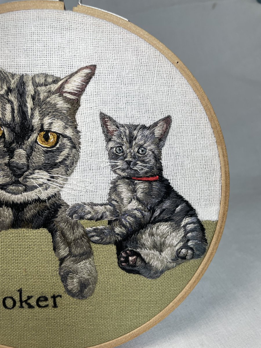 ดาริดา tweet media