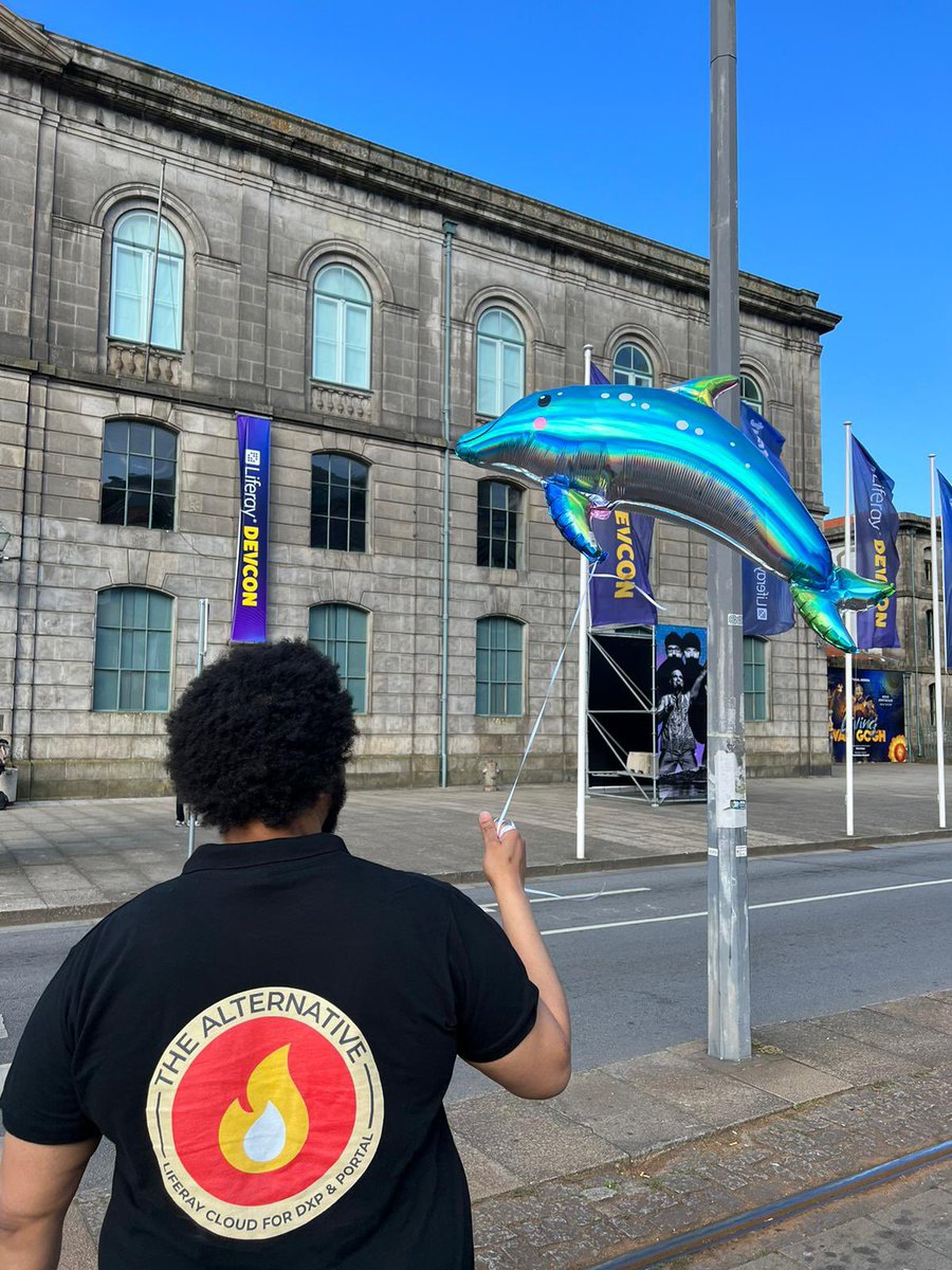 Liferay Devcon 2023. Let the Adventures Begin. #lrdevcon #dolphin #surprise