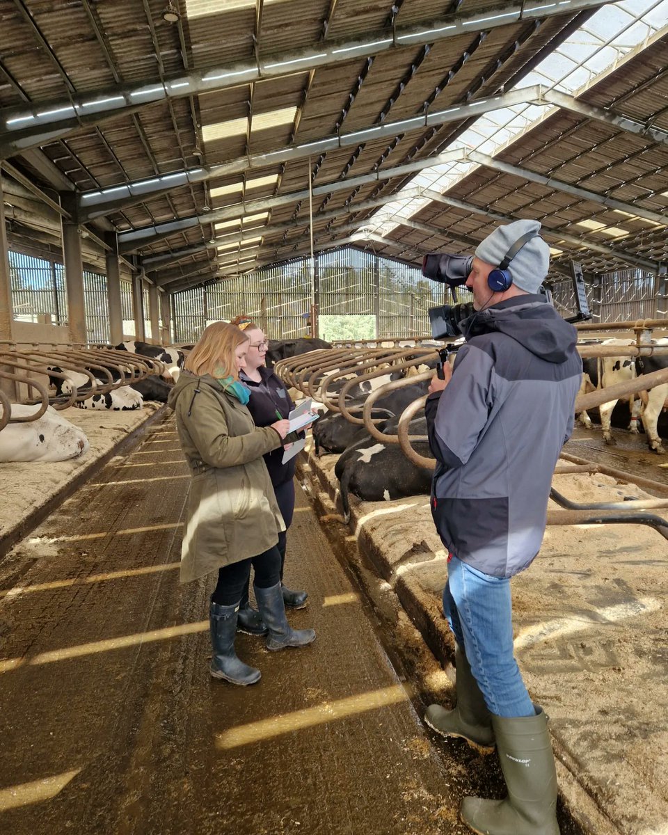 laurashewcar's tweet image. @hjferg and I filmed with #BBCLandward last month talking about #dairycow #behaviour, #welfare and just some of the #research we're getting up to @SRUC. Our story will be on tomorrow's episode @BBCScotland at 8:30pm, replaying on @BBCTwo on Sunday at 8:15am 🐄🐄🐄