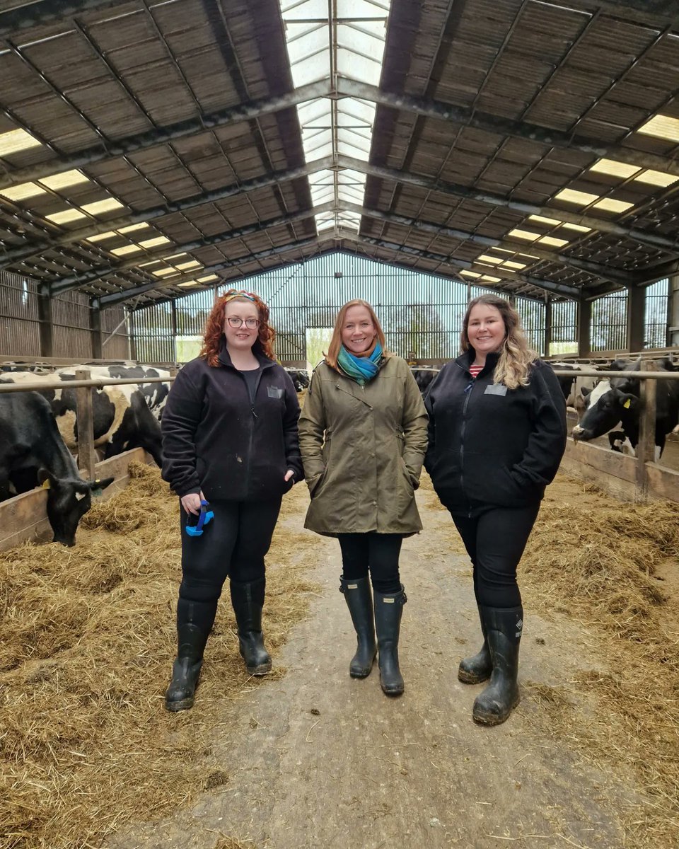laurashewcar's tweet image. @hjferg and I filmed with #BBCLandward last month talking about #dairycow #behaviour, #welfare and just some of the #research we're getting up to @SRUC. Our story will be on tomorrow's episode @BBCScotland at 8:30pm, replaying on @BBCTwo on Sunday at 8:15am 🐄🐄🐄