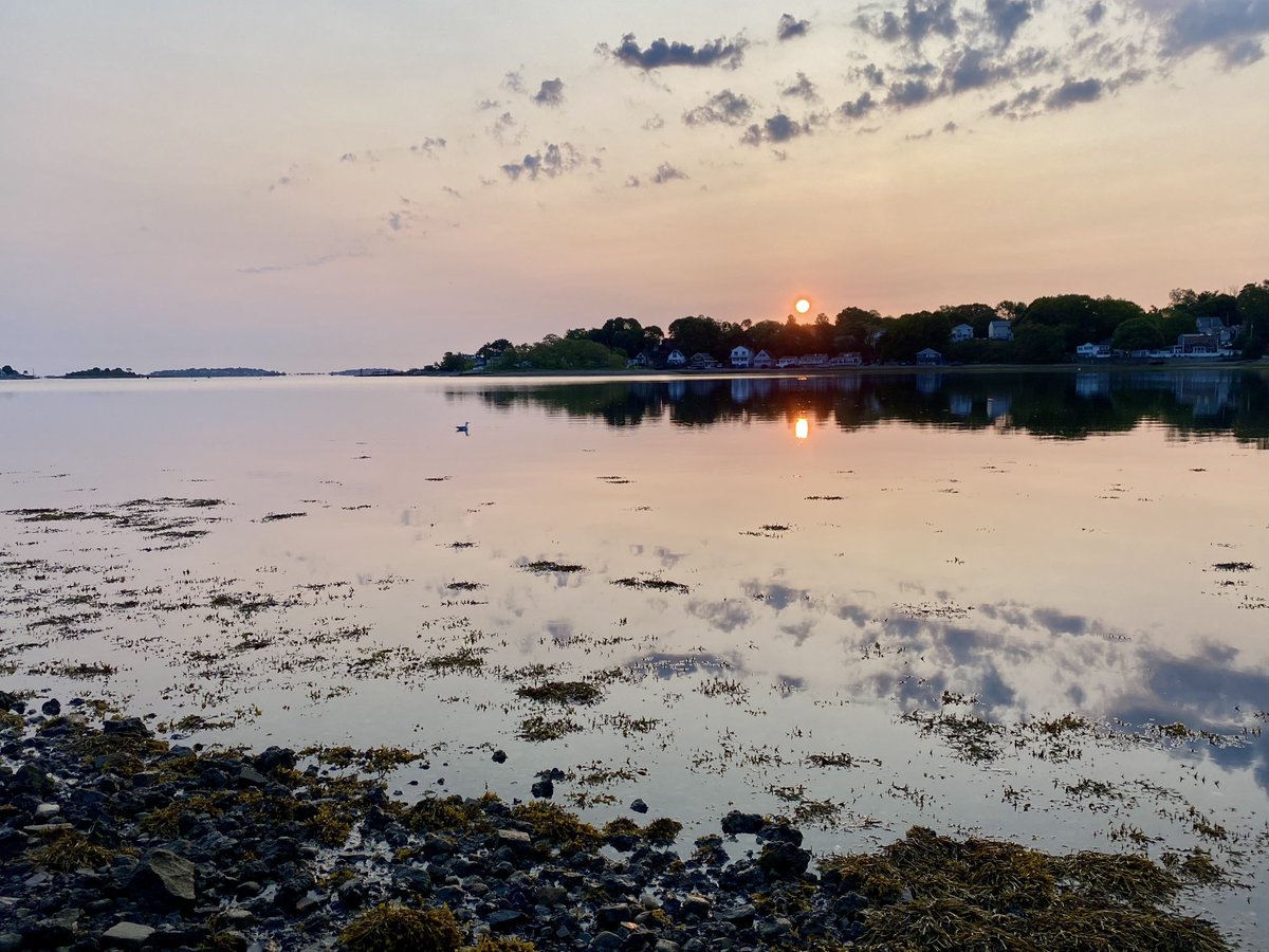 Becky_Haugh's tweet photo. Started morning with an enchanted North #WeymouthMA sunrise. 😁 https://t.co/Y8l1mbKe2y