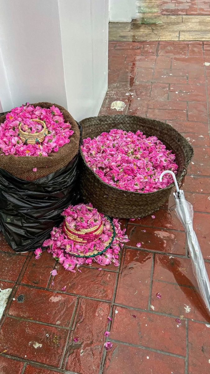 #روزيار يقدم لكم كل جديد 
معطر الجو برائحة الزهور #انتعاش #ثبات_عالي 
#روزيار
#الورد_الطائفي
#ارامكو