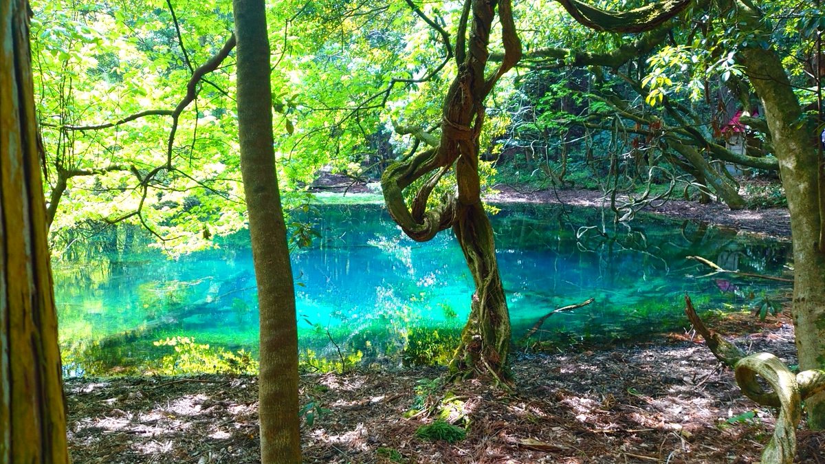 エメラルドグリーンに輝く神秘的な池 「丸池様」山形