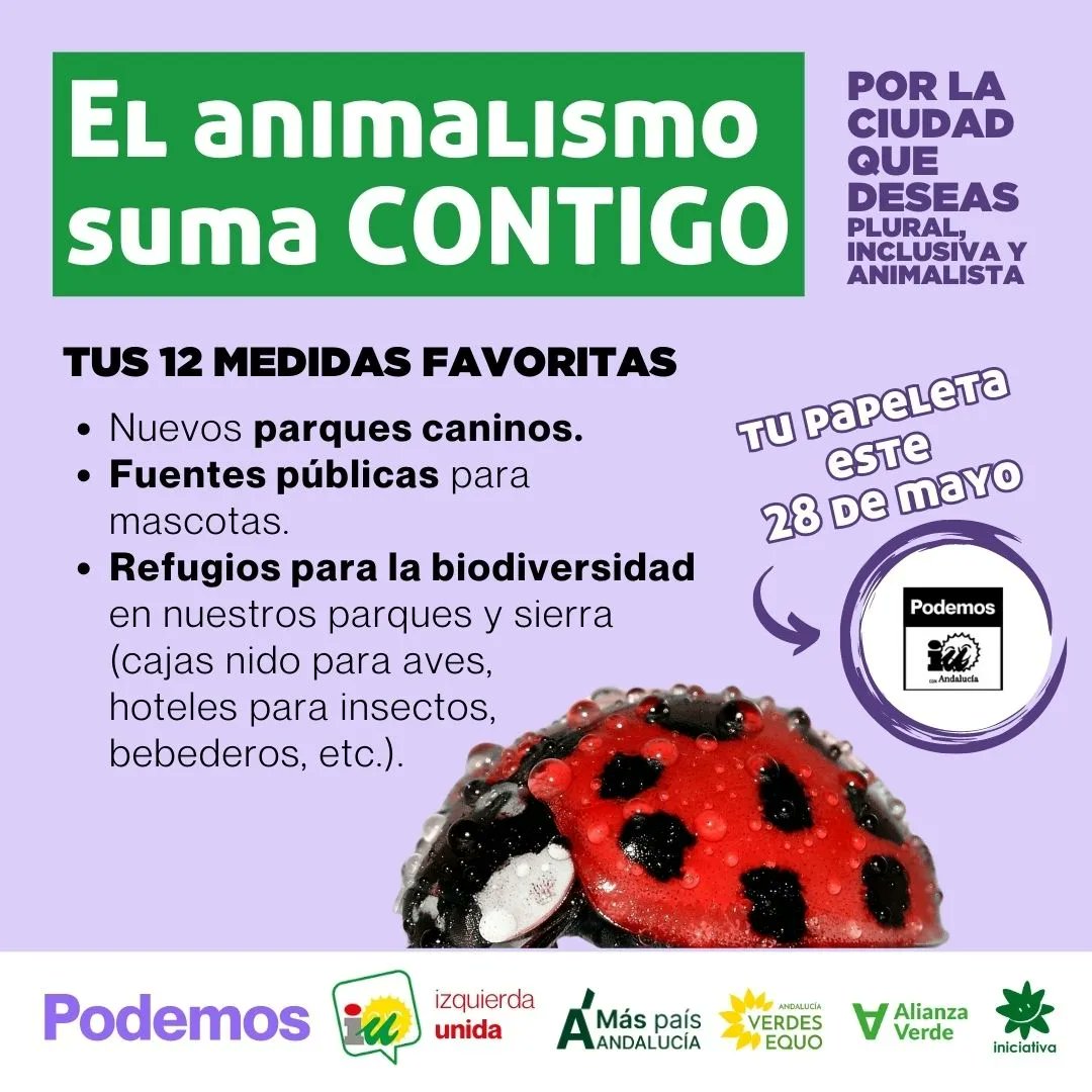 Este #28M somos el único partido en #Torremolinos que defiende los derechos de los animales. 
Conoce nuestras propuestas y apoya un proyecto que va a cambiar nuestro municipio los próximo 4 años. 
#elanimalismosumacontigo #torremolinossumacontigo #izquierdaunida #podemos #maspais