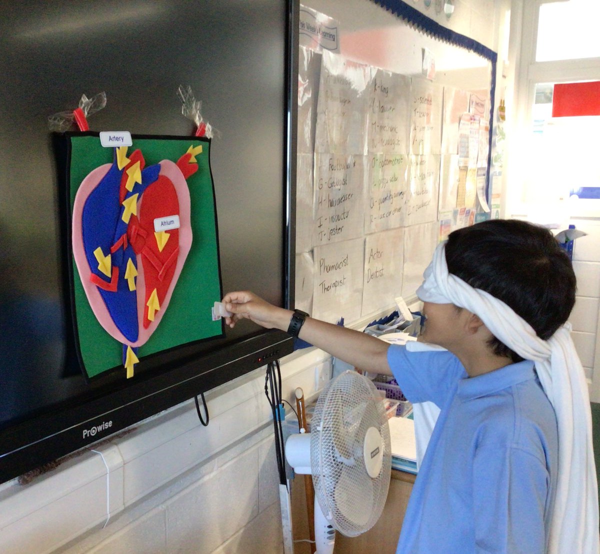 Byronprimarysch's tweet photo. 6L having fun labelling the heart in science whilst playing “Pin the names on the heart”.  It really helped solidify their learning of different parts and functions of the heart. #ByronScience #STEMScience https://t.co/tuQaFWrjaR