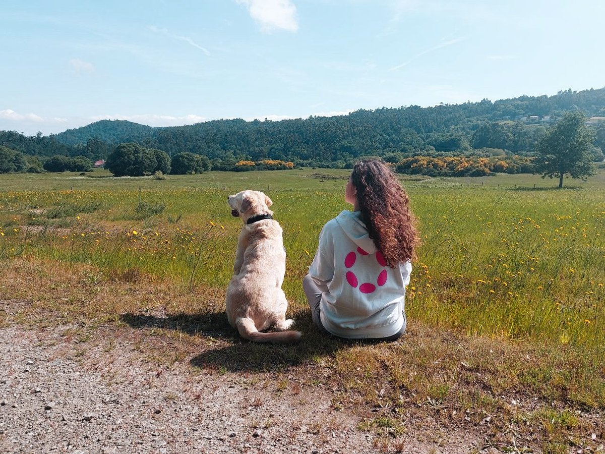 Isabel 🧭 tweet media