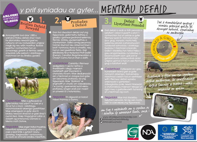 Gwnaed â Gwlân / Made With Wool tweet media