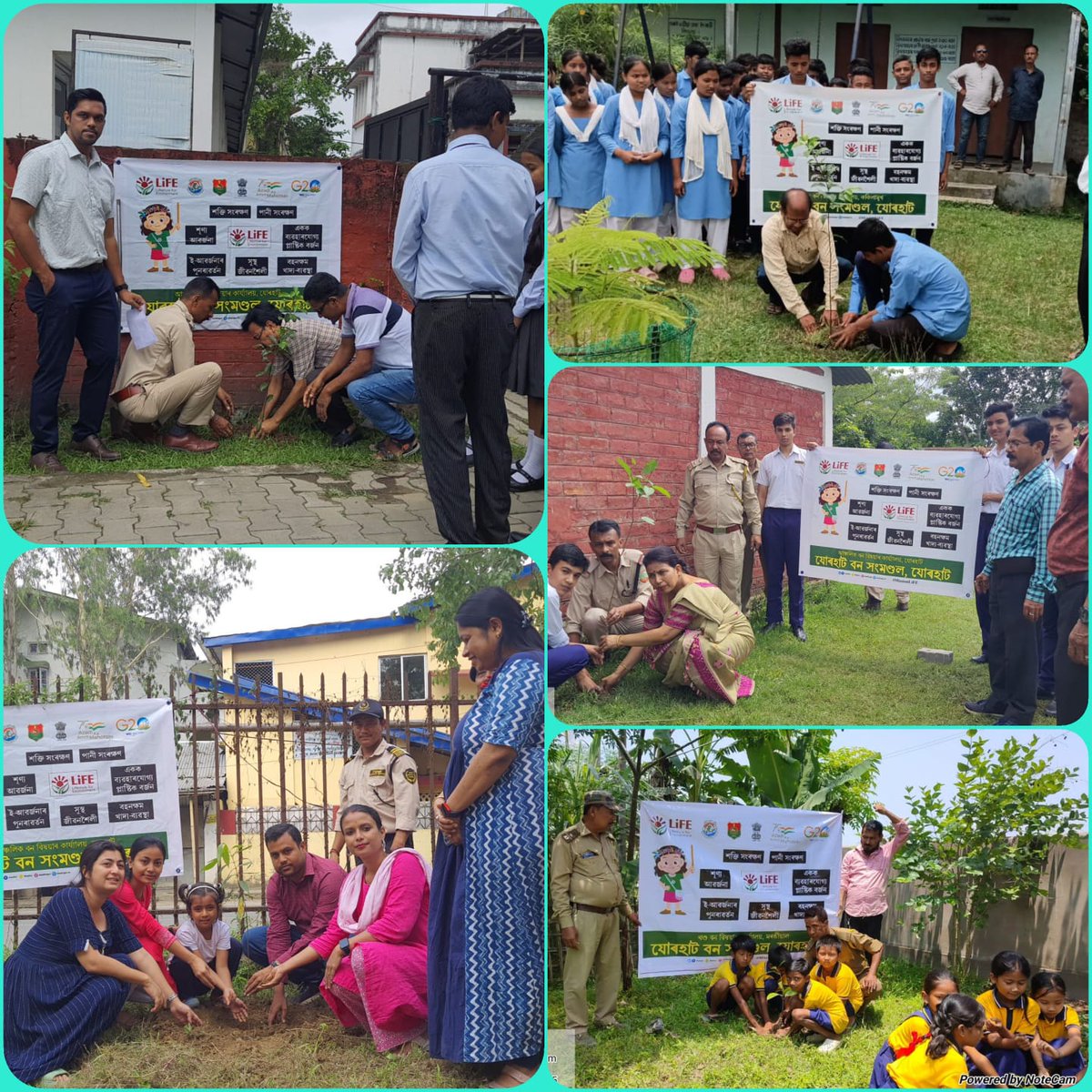 DFO Jorhat (T) Division tweet media