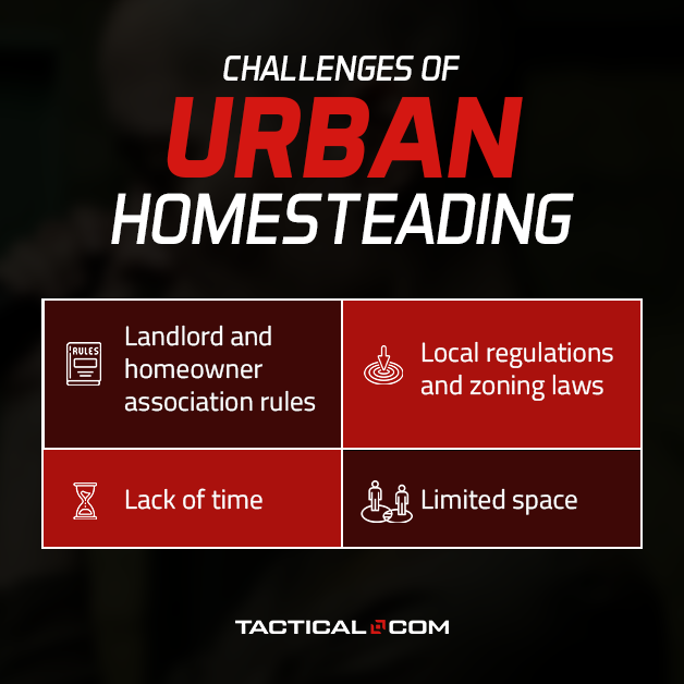 Want to create an urban homestead, but don't know where to start?

Urban homesteading is one way to bring the farm to the city and live sustainably, but it comes with its own challenges too.

Learn everything from A-Z about urban homesteading here: bit.ly/3V0Y5wk