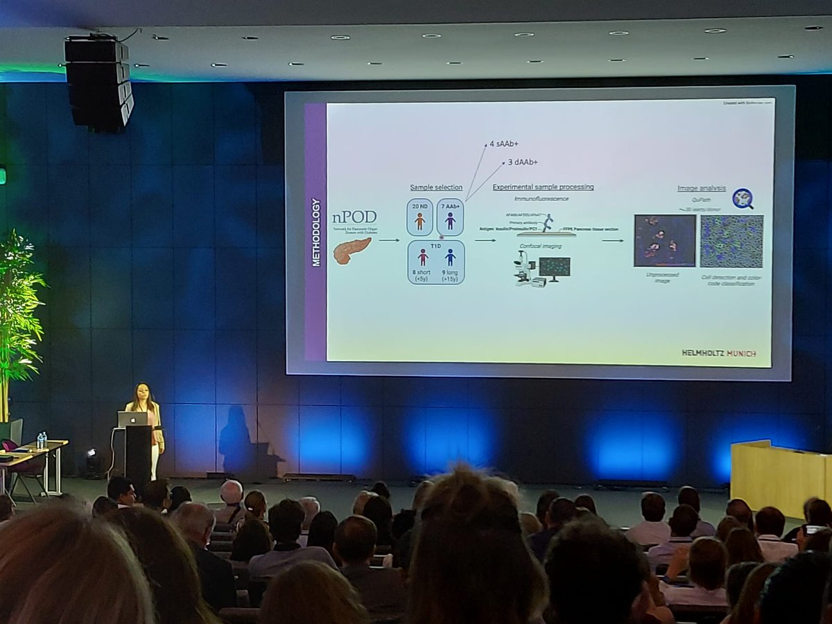 Fantastic experience at the #ids2023 in Paris. Great organization and fantastic speakers. Happy to contribute to the #T1D community! Please approach our group @HelmholtzMunich #idf1pathology for digging deeper into T1D Pathology! For a #aworldwithout1 
@DiabetesnPOD @Teresa_IDF1