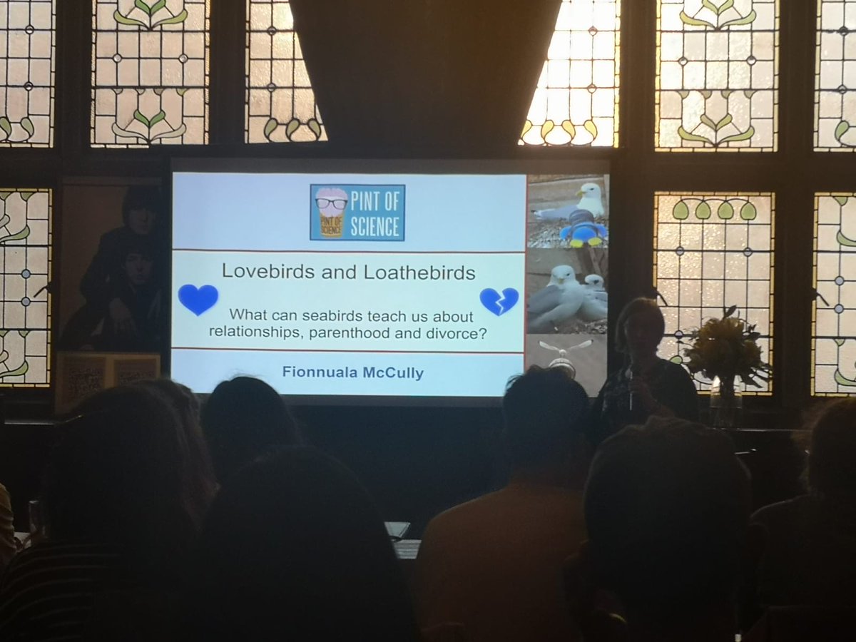 Had such a great time at #Pint23 @pintofscience on Monday talking about Kittiwake divorce. Now I can say I have played the same venue as Paul McCartney... 

💙Thanks to all who came to see me! 💙

Shame the photos are *Darth Vader breathing and voice* a little on the dark side...