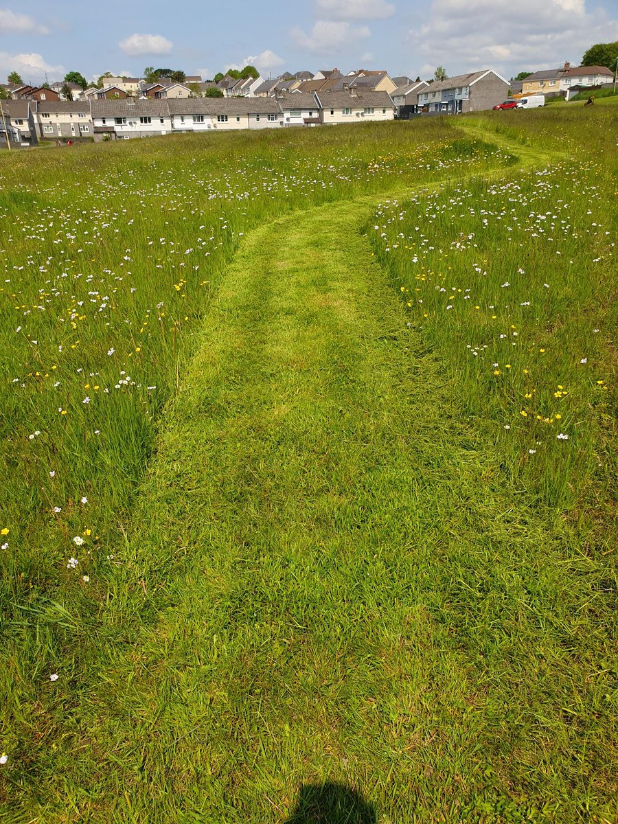 As part of our #ClimateStrategy we have been leaving a number of 'No Mow' areas at green spaces on our estates. This week our team has been out creating pathways through the no mow areas so that community members can enjoy the area #Biodiversity #NoMowMay #NationalWalkingMonth