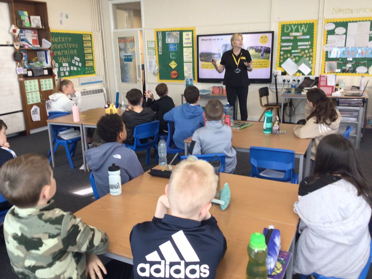 whitdale_ps's tweet photo. P6R having a great lesson and Q&A session on learning how to be safe around dogs with The Dogs Trust. #dogstrust #alwaysrespect https://t.co/hyKyL7XMU1