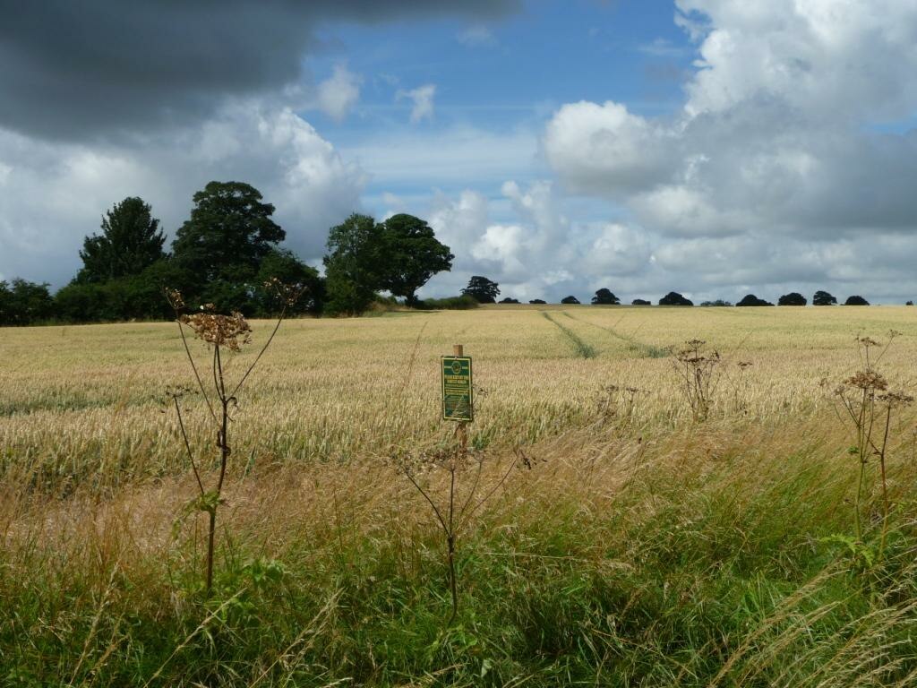 JNCC_UK's tweet photo. JNCC would love to hear your thoughts on habitat recording! 

Please fill in our survey on perceptions of habitat recording https://t.co/vvqaeEYGVA and help test a new habitat recording app https://t.co/L2ZravFZcZ 

Thanks in advance for your views 💚 #ForNaturePeoplePlanet https://t.co/7hpQvbxOva