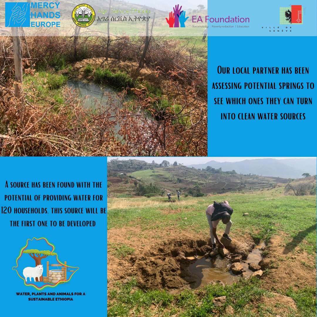 Our project in #ethiopia is well underway! Our local partner Agri Service Ethiopia shows on these pictures how the current situation in the project region is regarding #drinkingwater. The sources are far away and polluted due to the livestock living nearby. #sdg6 #sustainable