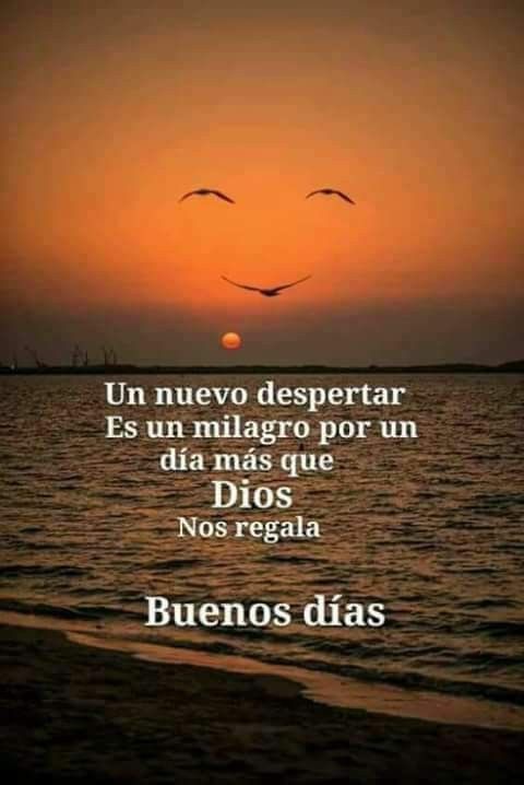 Levanta
Tu
Mirada
Al
Cielo
Y
Agradece
Todo
Lo
Que
Recibes
Cada
Día ❤️
Feliz miércoles lleno de paz, salud, amor, esperanza, felicidad y bendiciones para ti 🌸
