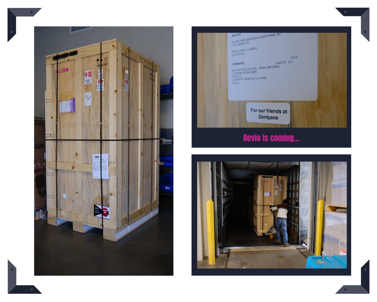 The countdown is on, #Revio is on its way to @Gentyane! 🎉 🚚
We are thrilled to be welcoming this little (big) gem by <a href="/PacBio/">PacBio</a> to our lab. Stay tuned for updates as we embark on our first-ever experiment with Revio. Exciting times ahead!