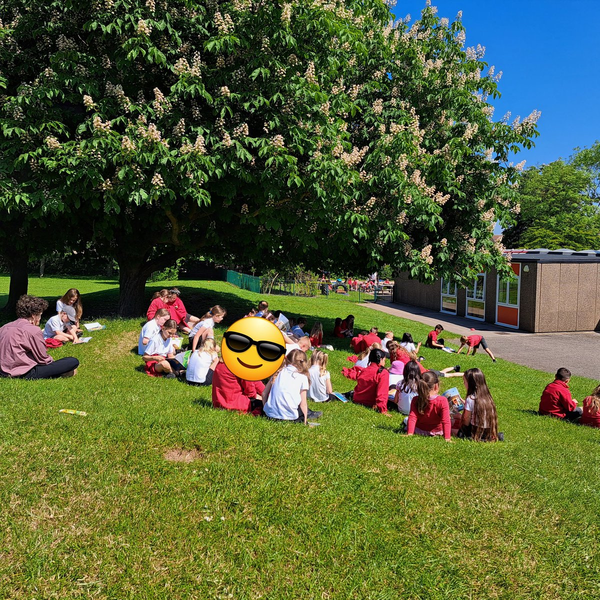 Year 6s and 2s enjoying our buddy reading out in the sunshine today. #welovereading #bookaday