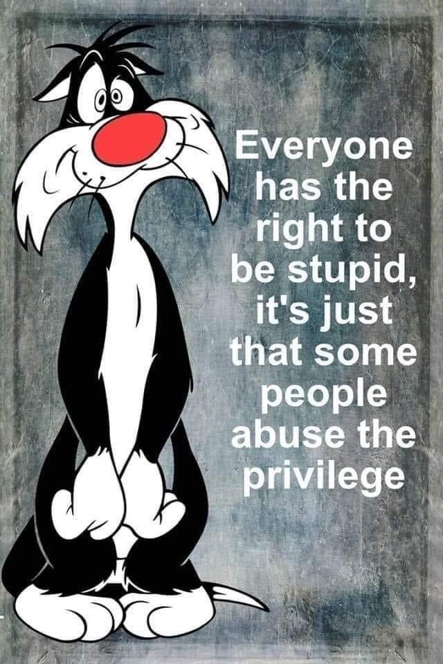 Buckwheat tweet media