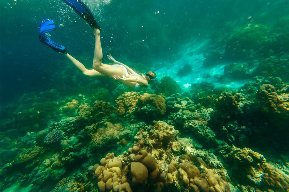 WeSoloApp's tweet photo. What kind of adventure fix in Phuket will you go for? The underwater safari or zipping through the jungle?
📷 𝗥𝗘𝗔𝗗 => https://t.co/44LunXDqGP

#phuketthailand #adventuretravel #southeastasia https://t.co/vhR1HDE8pU