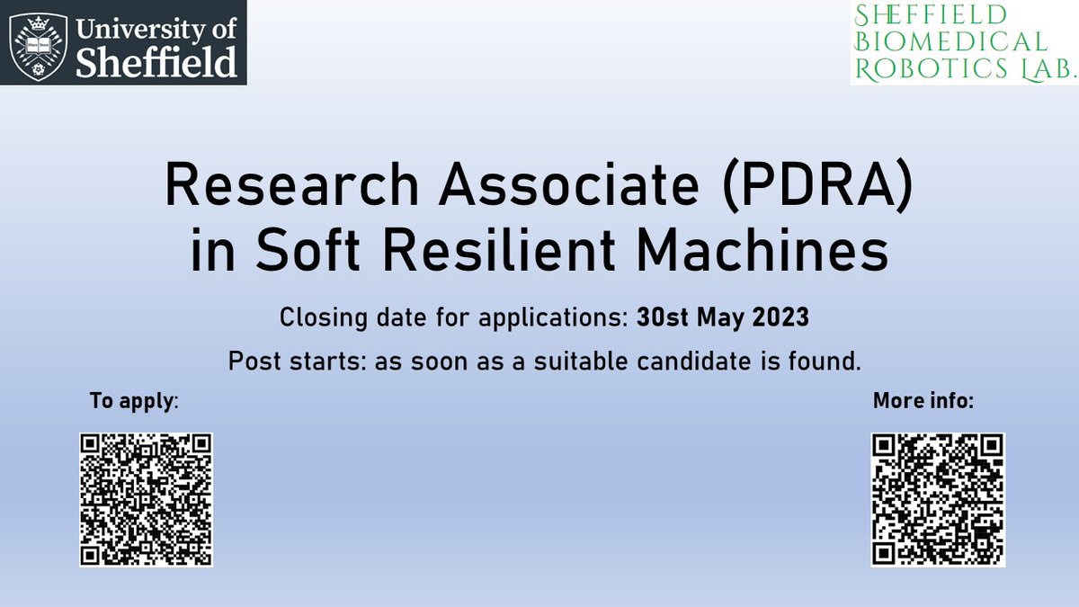 Dana Damian tweet media