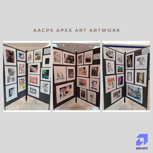Congratulations to all the Apex Visual Arts Students 9-12 grade. What a fantastic collection of recently displayed artwork at the Annapolis Mall! 
#artsmagnet #aacpsawesome #exhibition #artexhibition #createyourwayup