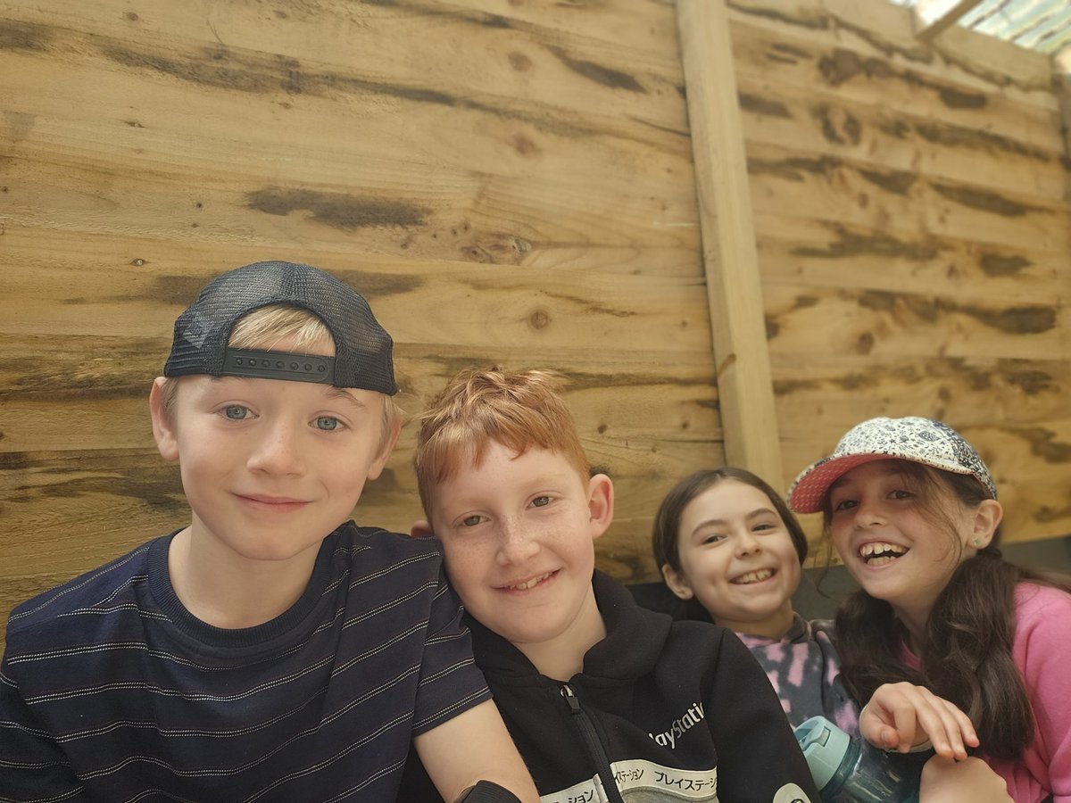 Northleigh Natterjacks tweet media