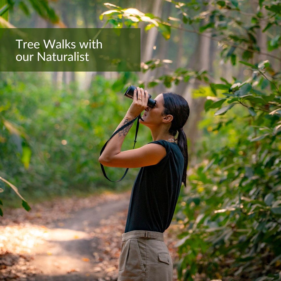 BarefootAndaman's tweet photo. #OFFER ALERT  Enjoy the ultimate getaway at our resort with an irresistible offer. Simply pay for a minimum of 1 night and receive a 50% #discount on all additional nights.  An exclusive offer for June, August and September 2023 only. Book now at the link in bio. https://t.co/kYSCiNJywr