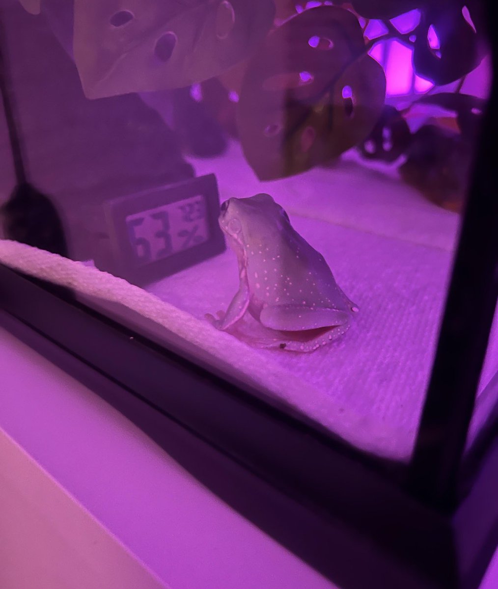 MieserMulmi on Twitter: