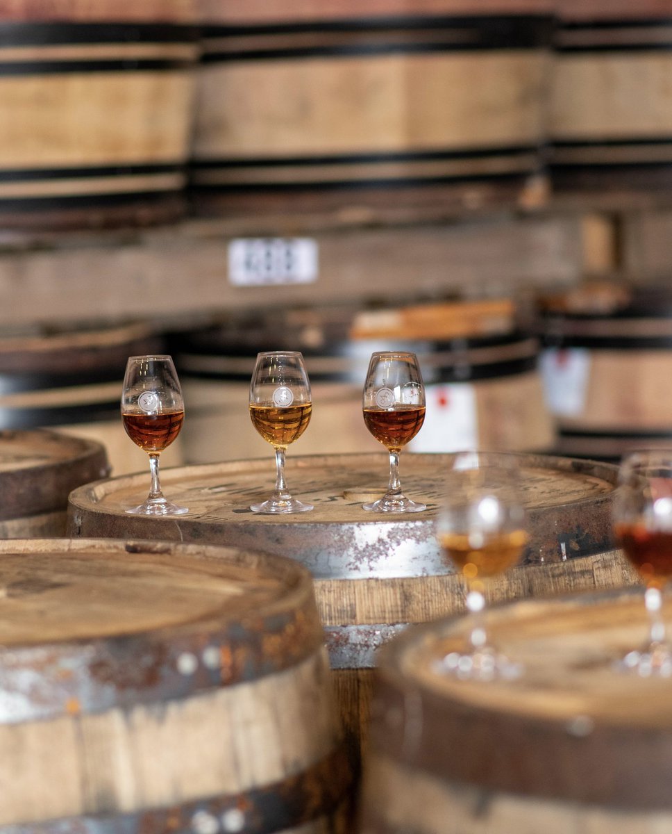 Should you invest in rum? ''Buy young rum in the cask – You know where it came from, you know how it’s been stored... and you are onto a winner” Simon Aron for <a href="/MoneyWeek/">MoneyWeek</a>
 
🔗 hubs.ly/Q01Q_kXH0