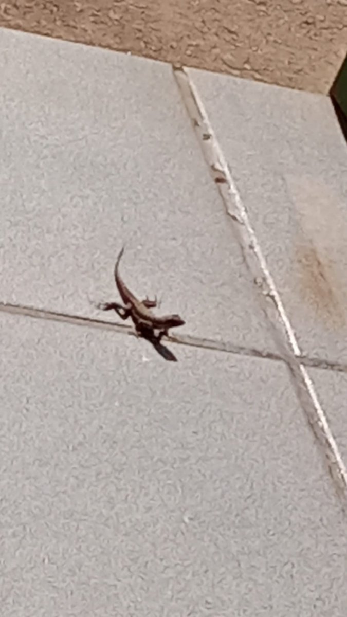 JooReginaldogo2's tweet image. Joaoreginaldogouveia8254