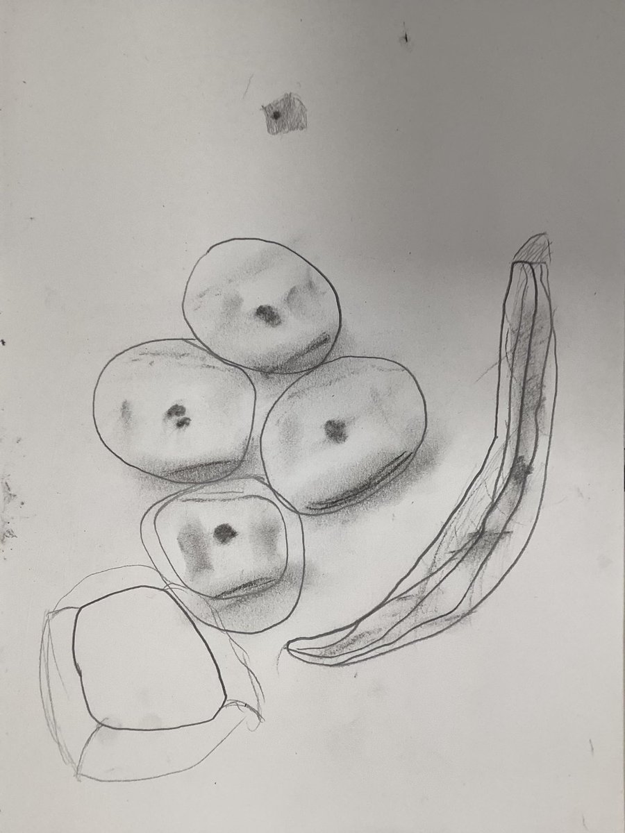 Stewart Taylor tweet media