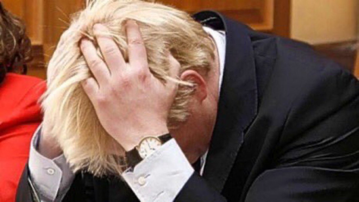 BrexitBuster's tweet photo. @dchughes62 @AddickAddict Young Tories…
Yes, I'm telling it to you straight
So you don't have to hear it in another way… 🎵
Oh Andy
I'm not your daddy (mama's baby, papa's maybe)
Oh Alfie
I'm not your daddy (mama's baby, papa's maybe)
Oh Ally
I'm not your daddy… 🎶
#FecklessFather #LiarJohnson https://t.co/PfwHaz9SRU