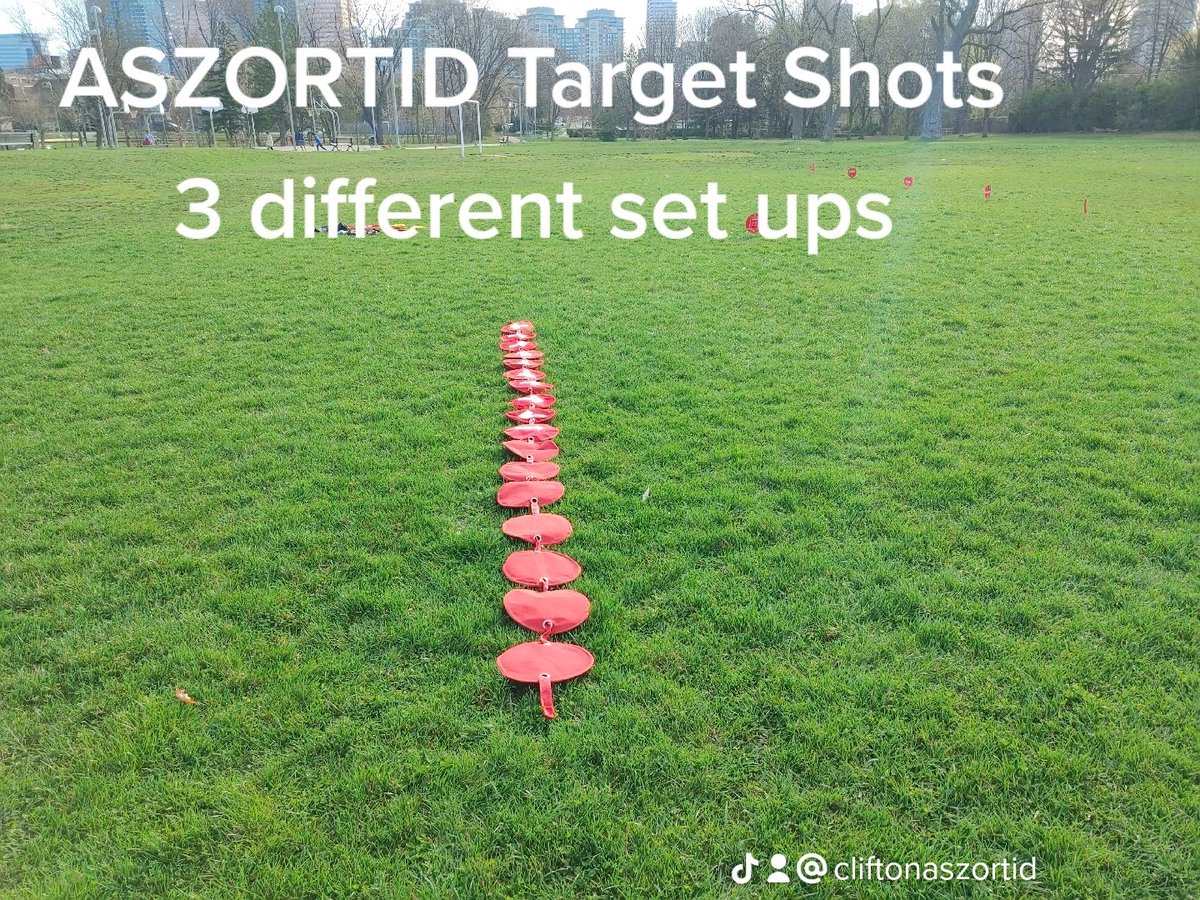 Clifton01770760's tweet image. #ASZORTID #AszortidTargetShots #agilityladder These images are a few great reasons why you should try it ti increase your feet speed plus so much more #HugeSportsPlay