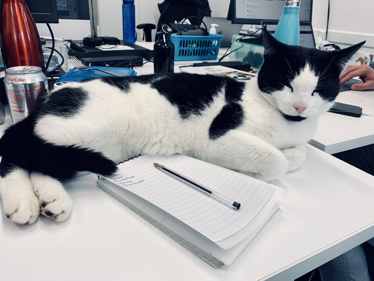 Absolutely correct ✅ 

#FFC