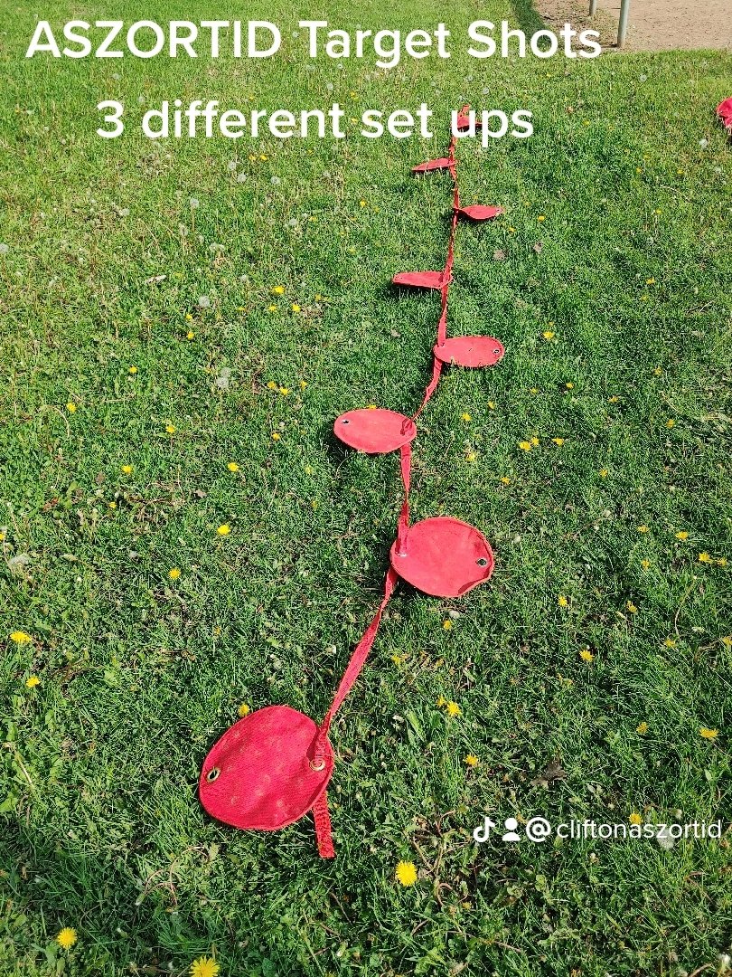 Clifton01770760's tweet image. #ASZORTID #AszortidTargetShots #agilityladder These images are a few great reasons why you should try it ti increase your feet speed plus so much more #HugeSportsPlay