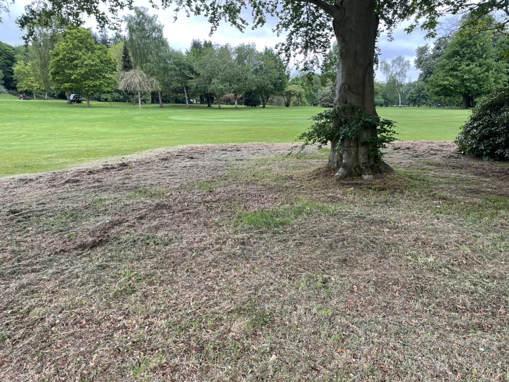 Carrying on with our woodland management programme <a href="/BelvoirParkGolf/">Belvoir Park GC</a> . Thanks to <a href="/AndyKeys13/">Andy Keys</a> for the demo some bit of kit 👌👍. <a href="/BIGGALtd/">British & International Golf Greenkeepers Assn.</a> <a href="/SwanGolfDesigns/">Swan Golf Designs</a> <a href="/bmcd1704/">BMcD</a> <a href="/billytheglenman/">william smith</a>